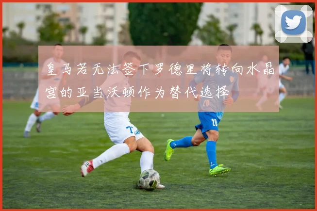 皇马若无法签下罗德里将转向水晶宫的亚当沃顿作为替代选择